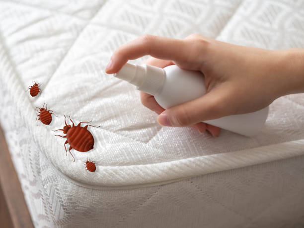 Best Pest Prevention Services  in Valley Center, CA