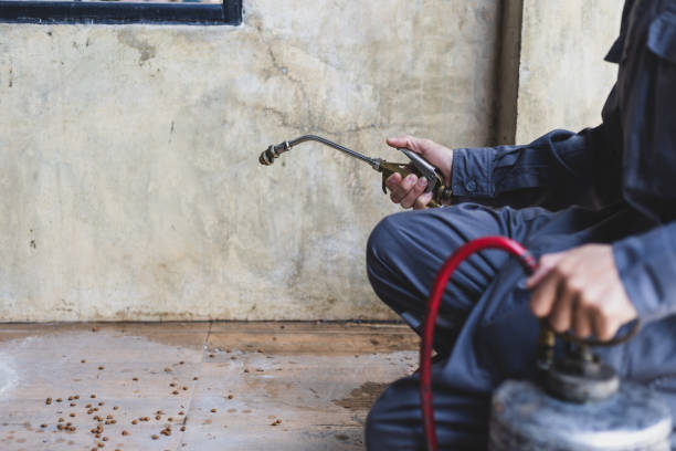 Best Mosquito Control Services  in Valley Center, CA